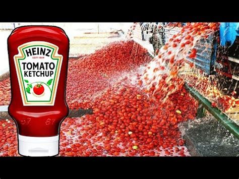 tomatecerisesucy.fr Technology Profile .